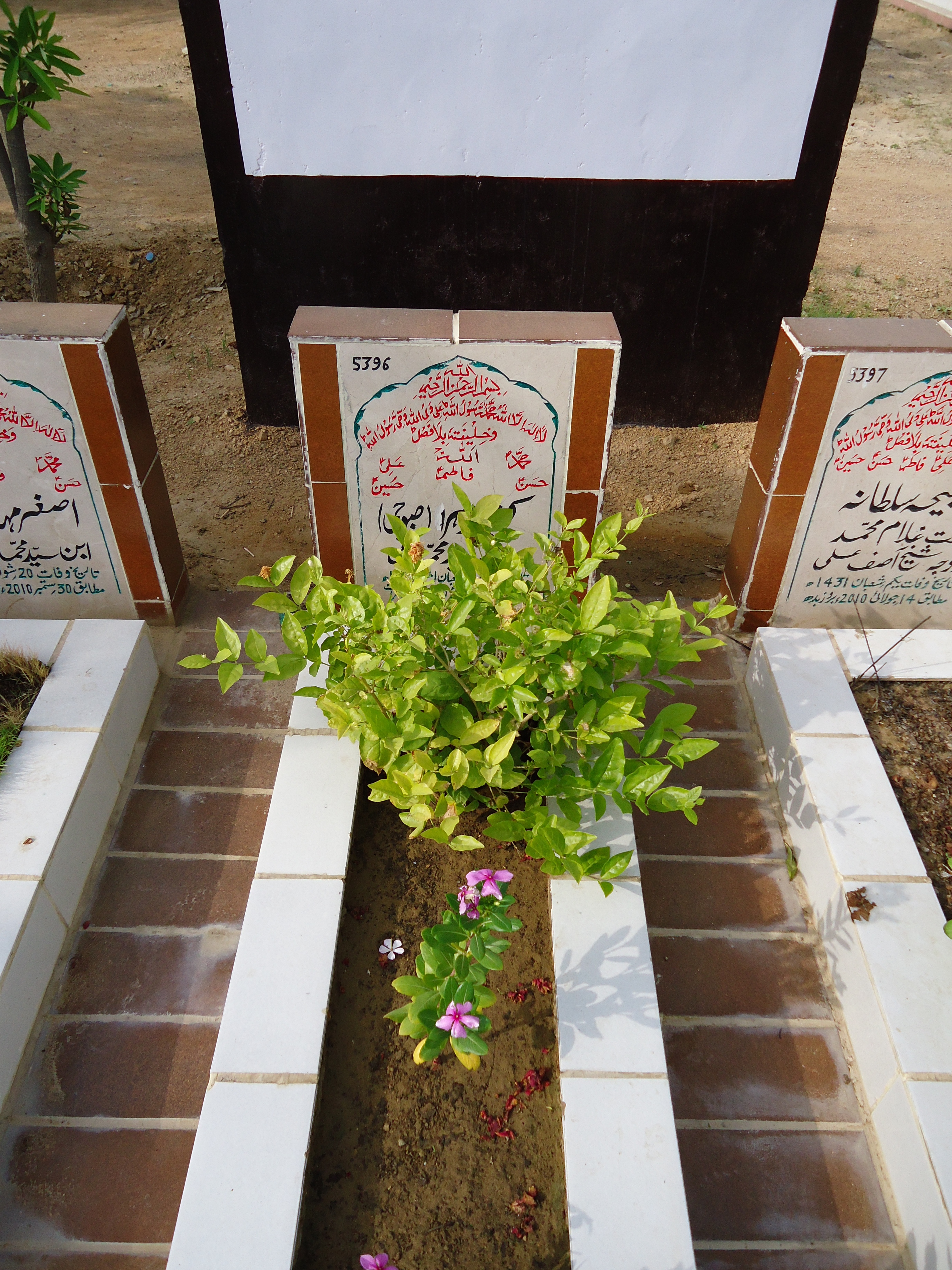 5396 – Kaneez Zehra